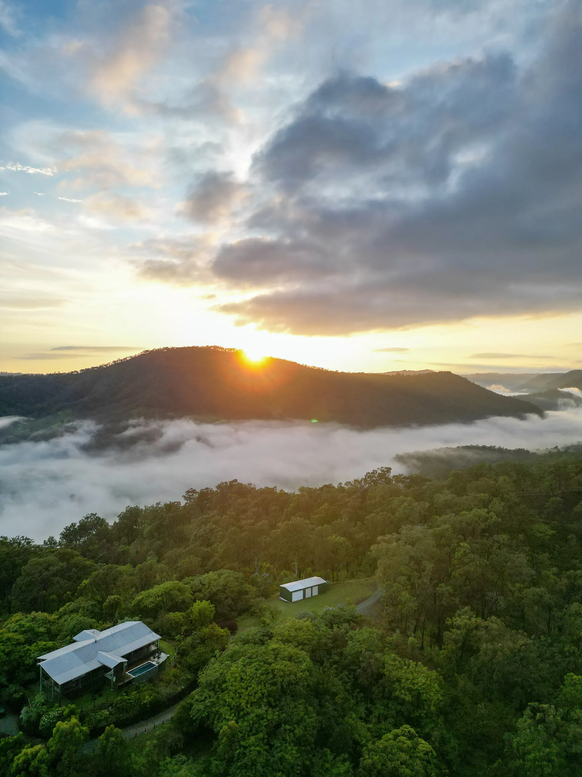 Rainforest-covered ridgeline of Lamington National Park seen across the Sarabah Valley